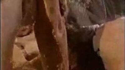 Развлечение в тройничке с гермафродитом