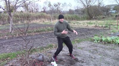 После этого Ты будешь драться как Тайсон