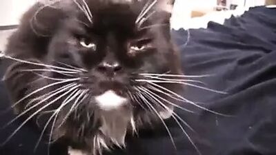 NMLN глаза говорят, что они отчим и дочка!