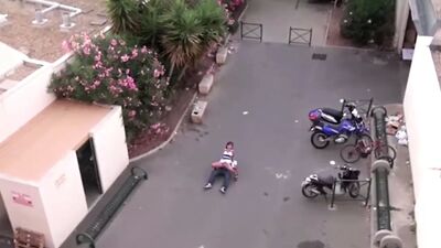 Я снимал на видео, как собака и сучка занимаются диким сексом на Мидл-стрит