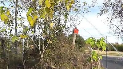 Handjob & Blowjob From Stranger On Bike Ride