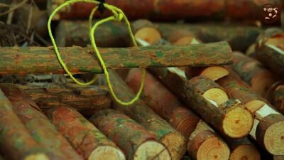 Мультик про машинки Трактор с прицепом, экскаватор и автокран строят дом. МанкиМ