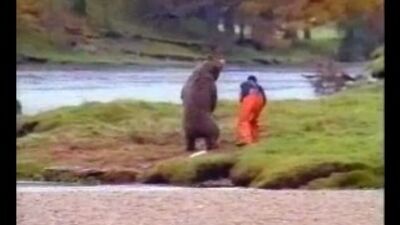 Драка с медведем