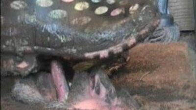 Самый необычный половик