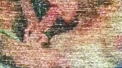 Шоу-звезда суперзвезд 14 - 1982