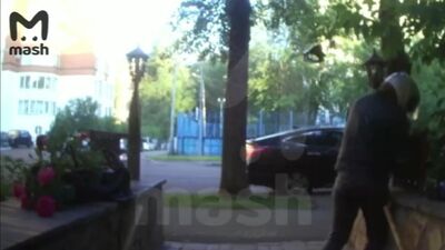 Загадочная воровка цветочков