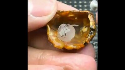 Великолепная работа гравером по камню - Заметки строителя