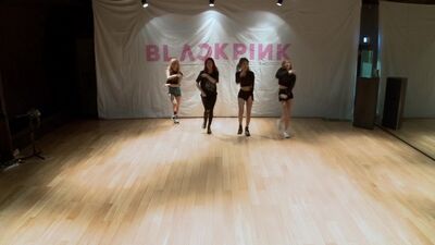 [vk] BLACKPINK - ‘불장난(PLAYING WITH FIRE)’ DANCE PRACTICE VIDEO