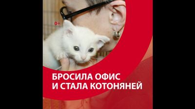 Бросила офис и решила стать котоняней — Москва FM