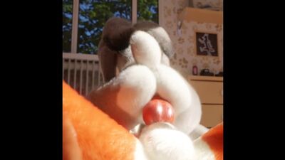 Judy hopps Anal riding a dick (Zootopia)