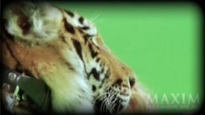 Кристина Асмус | Фотосессия для журнал Maxim