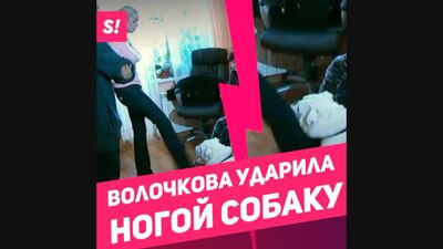 СКАНДАЛ! Волочкова ударила собаку ногой