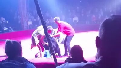 Медведь напал на беременную ассистентку дрессировщика на шоу в орловском цирке