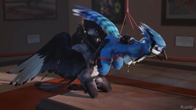 Furry yiff bird bdsm