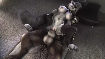 3D Yiff by H0rs3 Furry Porn Sex E621 Fye Hazbin Hote Helluva Boss R34 Rule34 Loona Wolf Group sex Gangbang