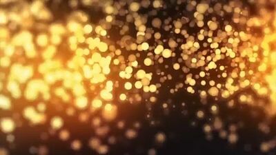 Французская леди