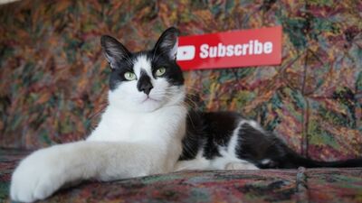 А ну-ка Давай-ка приглашает на ПЯТЫЙ ВК ФЕСТ