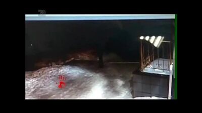 В Магнитогорске продолжаются поиски сексуального маньяка. Серийным насильником может быть инвалид.