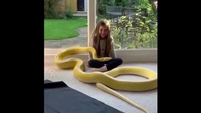 Я бы описалась от страха.