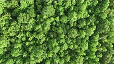 Video by Аудио Рассказы. Истории измен. Истории из жизни.