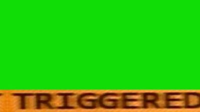 Triggered_-_Green_Screen_-_Chromakey_-_Meme_Source_Full-HD_mp4.mp4