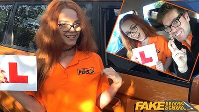 Fake Driving School