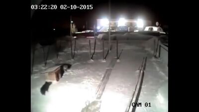 Video by Опасная Природа