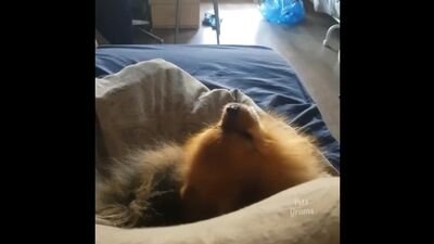 Video by Газета "Наш город Заринск" СМИ