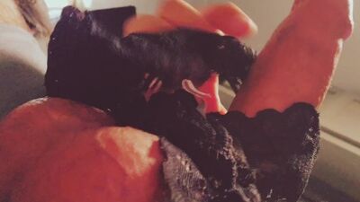 Труселя у мамки спер, куклу купил