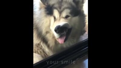 ЛУЧШИЕ ПРИКОЛЫ 2017 ЯНВАРЬ _ Лучшая Подборка Приколов #257