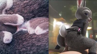 Зверополис