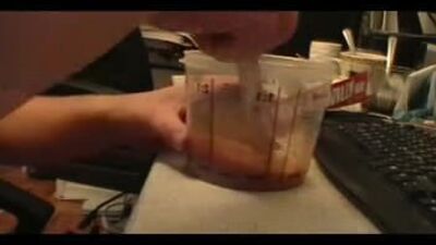 2010-02-14 клонирую Willy в действии.mpg