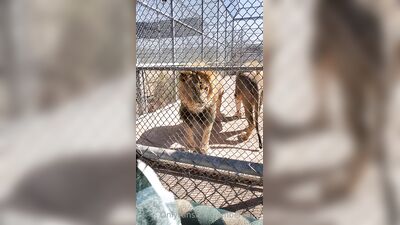 Ember Snow ХХХ ОнлиФанс