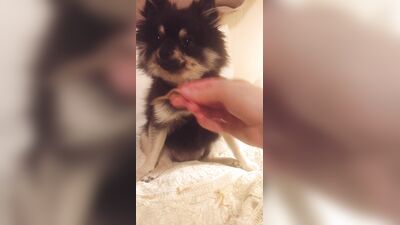 Elena Koshka ХХХ ОнлиФанс