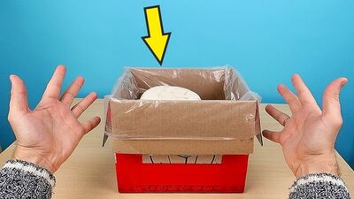 [Alex Boyko] Я вырастил Грибы Монстры у себя в ванной! Я в шоке! Грибникарий. Часть 3. alex boyko