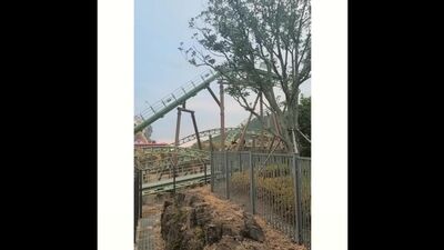 [Твиттер/Инстаграм] 201120 Дара