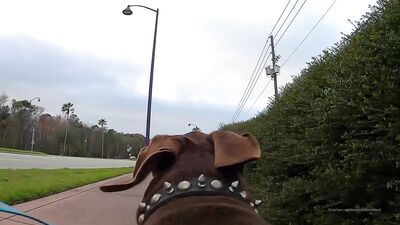 Channelone ХХХ ОнлиФанс