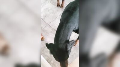 Channelone ХХХ ОнлиФанс