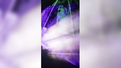 Голая Bebe Rexha