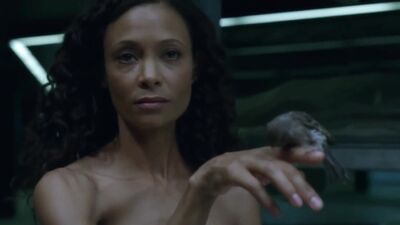 Голая Thandie Newton