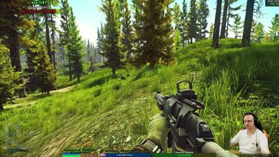 52 lvl. Пожилой Вал-Мэн , Жаба зеленая.