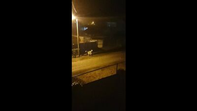 Чапаевск в курсе