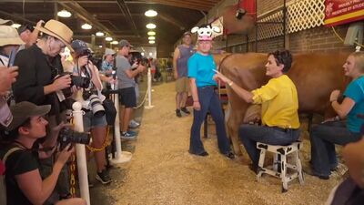 Kari Lake, political candidate, challenges NYT, WP reporters to "milk a bull and see how that goes."