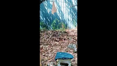 ชอบเพราะเธอเย็ดมันส์