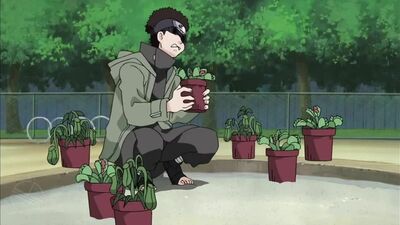 Хината подсела к шину #наруто #боруто #аниме #naruto #boruto #anime #хентай #hentai #hinatahyuga #hinata #хинатахьюга #хината