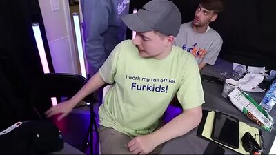 Я взяла к себе ВСЕХ собак из приютов.