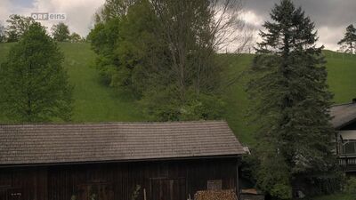 JUERGEN MAURER - Vorstadtweiber S01EP03