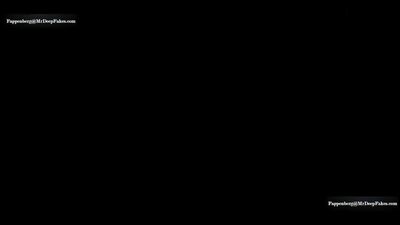 Elizabeth Olsen deepfake porn(Элизабет Олсен)