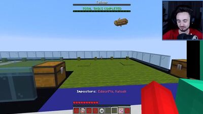 ПРЕДАТЕЛИ КАЖДЫЙ РАЗ ОДИНАКОВОГО ЦВЕТА В AMONG US МАЙНКРАФТ