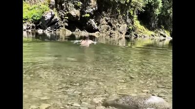 NicolleLove, она же HolisticNicole